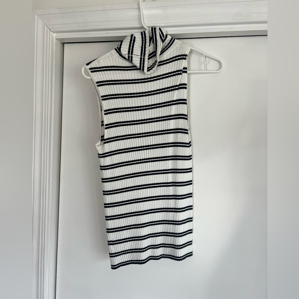 Express turtleneck